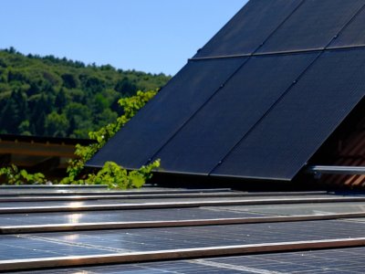 PV-Module Trina Solar